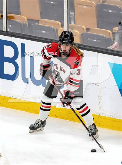 Thumbnail 1 in Austin Prep vs Wellesley (MAA Division 2 State Final) photogallery.