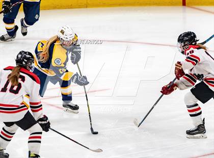 Thumbnail 2 in Austin Prep vs Wellesley (MAA Division 2 State Final) photogallery.