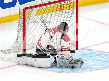 Thumbnail 1 in Austin Prep vs Wellesley (MAA Division 2 State Final) photogallery.