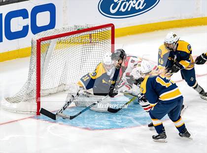 Thumbnail 1 in Austin Prep vs Wellesley (MAA Division 2 State Final) photogallery.
