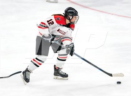 Thumbnail 3 in Austin Prep vs Wellesley (MAA Division 2 State Final) photogallery.