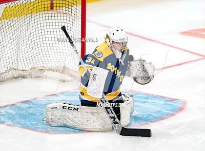 Thumbnail 1 in Austin Prep vs Wellesley (MAA Division 2 State Final) photogallery.