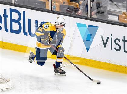 Thumbnail 1 in Austin Prep vs Wellesley (MAA Division 2 State Final) photogallery.