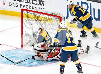 Thumbnail 2 in Austin Prep vs Wellesley (MAA Division 2 State Final) photogallery.