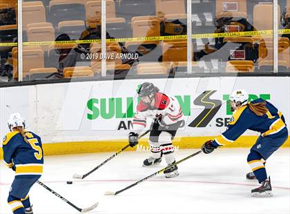 Thumbnail 3 in Austin Prep vs Wellesley (MAA Division 2 State Final) photogallery.