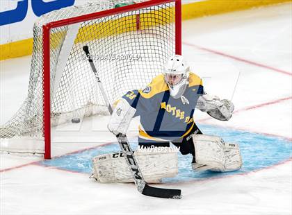 Thumbnail 3 in Austin Prep vs Wellesley (MAA Division 2 State Final) photogallery.