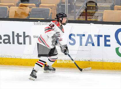 Thumbnail 1 in Austin Prep vs Wellesley (MAA Division 2 State Final) photogallery.
