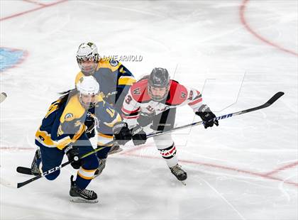 Thumbnail 3 in Austin Prep vs Wellesley (MAA Division 2 State Final) photogallery.