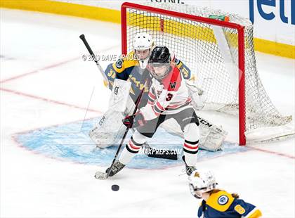 Thumbnail 1 in Austin Prep vs Wellesley (MAA Division 2 State Final) photogallery.