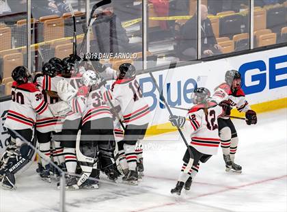 Thumbnail 1 in Austin Prep vs Wellesley (MAA Division 2 State Final) photogallery.