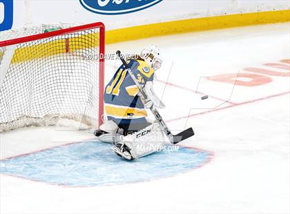 Thumbnail 1 in Austin Prep vs Wellesley (MAA Division 2 State Final) photogallery.