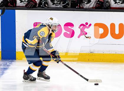 Thumbnail 1 in Austin Prep vs Wellesley (MAA Division 2 State Final) photogallery.