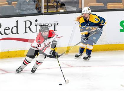 Thumbnail 2 in Austin Prep vs Wellesley (MAA Division 2 State Final) photogallery.