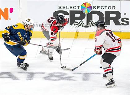 Thumbnail 2 in Austin Prep vs Wellesley (MAA Division 2 State Final) photogallery.