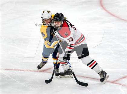 Thumbnail 1 in Austin Prep vs Wellesley (MAA Division 2 State Final) photogallery.