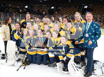 Thumbnail 2 in Austin Prep vs Wellesley (MAA Division 2 State Final) photogallery.
