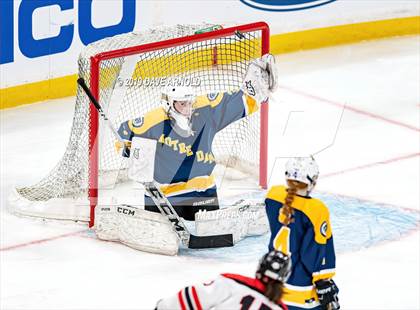 Thumbnail 1 in Austin Prep vs Wellesley (MAA Division 2 State Final) photogallery.
