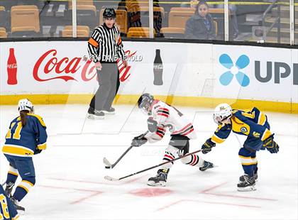 Thumbnail 2 in Austin Prep vs Wellesley (MAA Division 2 State Final) photogallery.