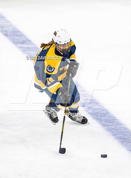 Thumbnail 3 in Austin Prep vs Wellesley (MAA Division 2 State Final) photogallery.