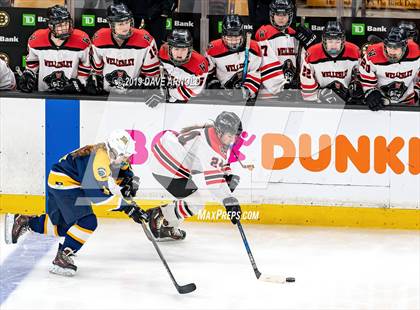 Thumbnail 1 in Austin Prep vs Wellesley (MAA Division 2 State Final) photogallery.
