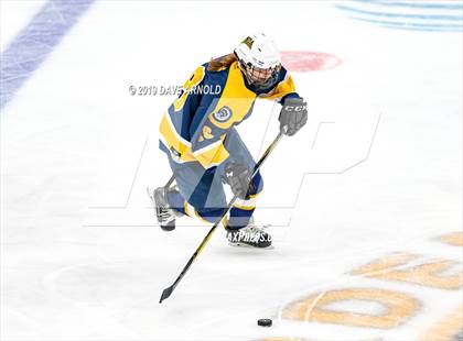 Thumbnail 2 in Austin Prep vs Wellesley (MAA Division 2 State Final) photogallery.