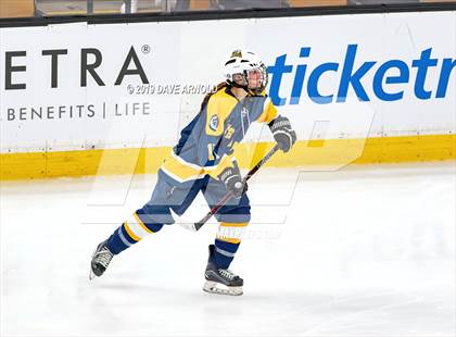 Thumbnail 1 in Austin Prep vs Wellesley (MAA Division 2 State Final) photogallery.