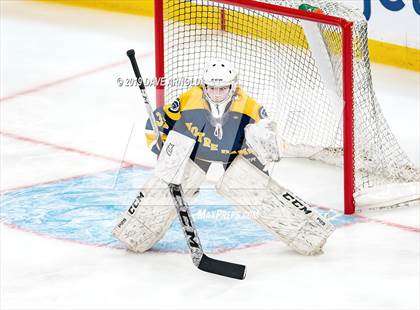 Thumbnail 1 in Austin Prep vs Wellesley (MAA Division 2 State Final) photogallery.