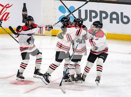 Thumbnail 3 in Austin Prep vs Wellesley (MAA Division 2 State Final) photogallery.