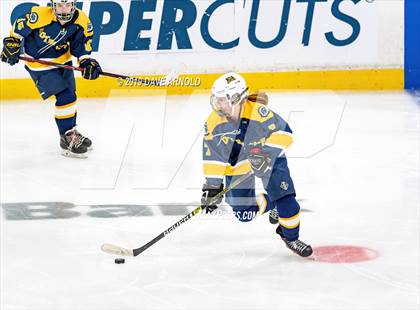 Thumbnail 3 in Austin Prep vs Wellesley (MAA Division 2 State Final) photogallery.