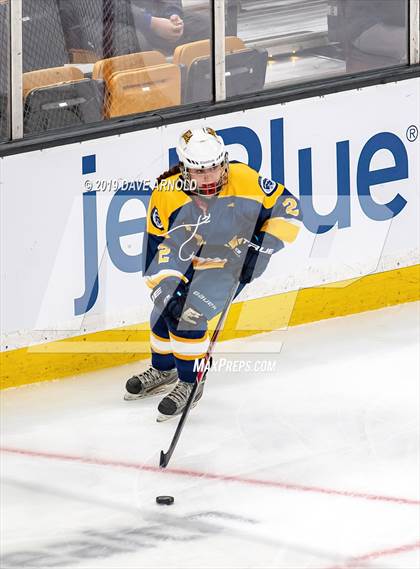 Thumbnail 2 in Austin Prep vs Wellesley (MAA Division 2 State Final) photogallery.