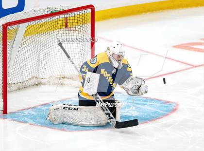 Thumbnail 3 in Austin Prep vs Wellesley (MAA Division 2 State Final) photogallery.