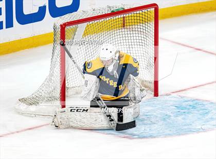 Thumbnail 1 in Austin Prep vs Wellesley (MAA Division 2 State Final) photogallery.