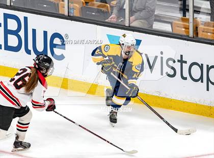 Thumbnail 2 in Austin Prep vs Wellesley (MAA Division 2 State Final) photogallery.