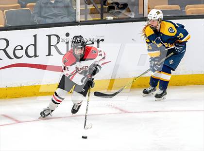 Thumbnail 1 in Austin Prep vs Wellesley (MAA Division 2 State Final) photogallery.