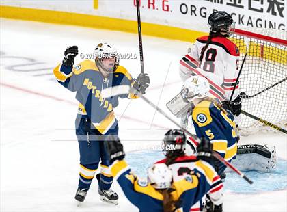 Thumbnail 1 in Austin Prep vs Wellesley (MAA Division 2 State Final) photogallery.