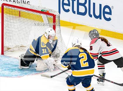 Thumbnail 1 in Austin Prep vs Wellesley (MAA Division 2 State Final) photogallery.
