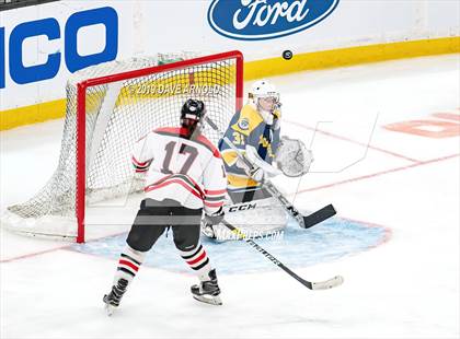 Thumbnail 1 in Austin Prep vs Wellesley (MAA Division 2 State Final) photogallery.