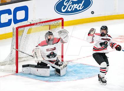 Thumbnail 2 in Austin Prep vs Wellesley (MAA Division 2 State Final) photogallery.