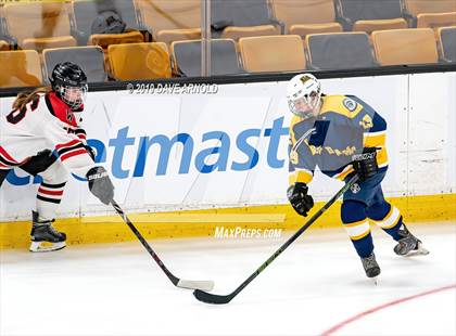 Thumbnail 1 in Austin Prep vs Wellesley (MAA Division 2 State Final) photogallery.