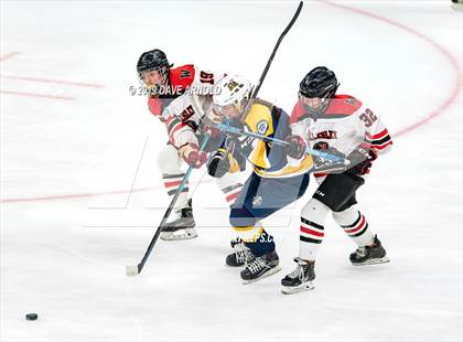 Thumbnail 1 in Austin Prep vs Wellesley (MAA Division 2 State Final) photogallery.