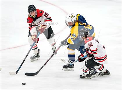 Thumbnail 2 in Austin Prep vs Wellesley (MAA Division 2 State Final) photogallery.