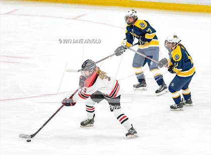 Thumbnail 3 in Austin Prep vs Wellesley (MAA Division 2 State Final) photogallery.