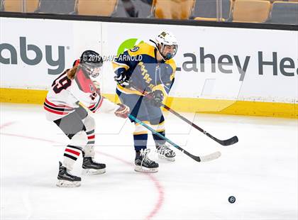 Thumbnail 2 in Austin Prep vs Wellesley (MAA Division 2 State Final) photogallery.