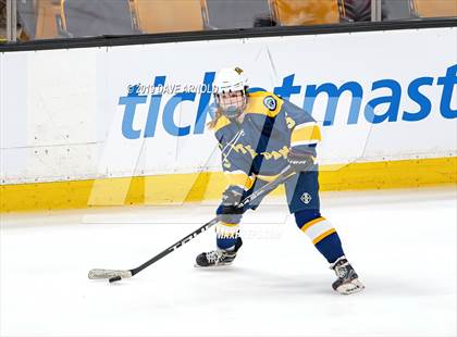 Thumbnail 1 in Austin Prep vs Wellesley (MAA Division 2 State Final) photogallery.