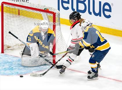 Thumbnail 1 in Austin Prep vs Wellesley (MAA Division 2 State Final) photogallery.