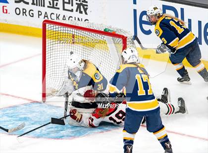 Thumbnail 1 in Austin Prep vs Wellesley (MAA Division 2 State Final) photogallery.