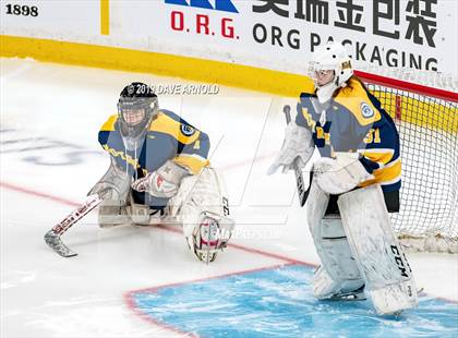 Thumbnail 1 in Austin Prep vs Wellesley (MAA Division 2 State Final) photogallery.