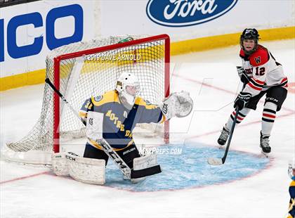 Thumbnail 3 in Austin Prep vs Wellesley (MAA Division 2 State Final) photogallery.