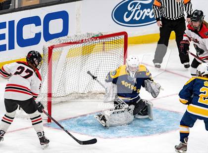 Thumbnail 1 in Austin Prep vs Wellesley (MAA Division 2 State Final) photogallery.