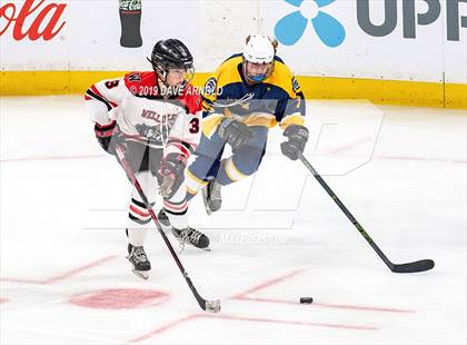 Thumbnail 2 in Austin Prep vs Wellesley (MAA Division 2 State Final) photogallery.